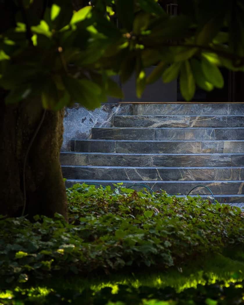 - Foto: @guglielmo.photo